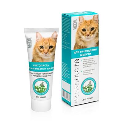 450_450_1_05566428a289a8d6ca5dec44d32e33e5