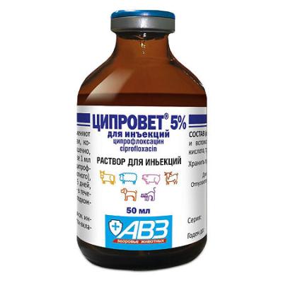 450_450_1 - 2021-02-08T132720.174