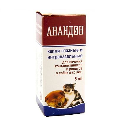 450_450_1 - 2021-02-12T213830.345