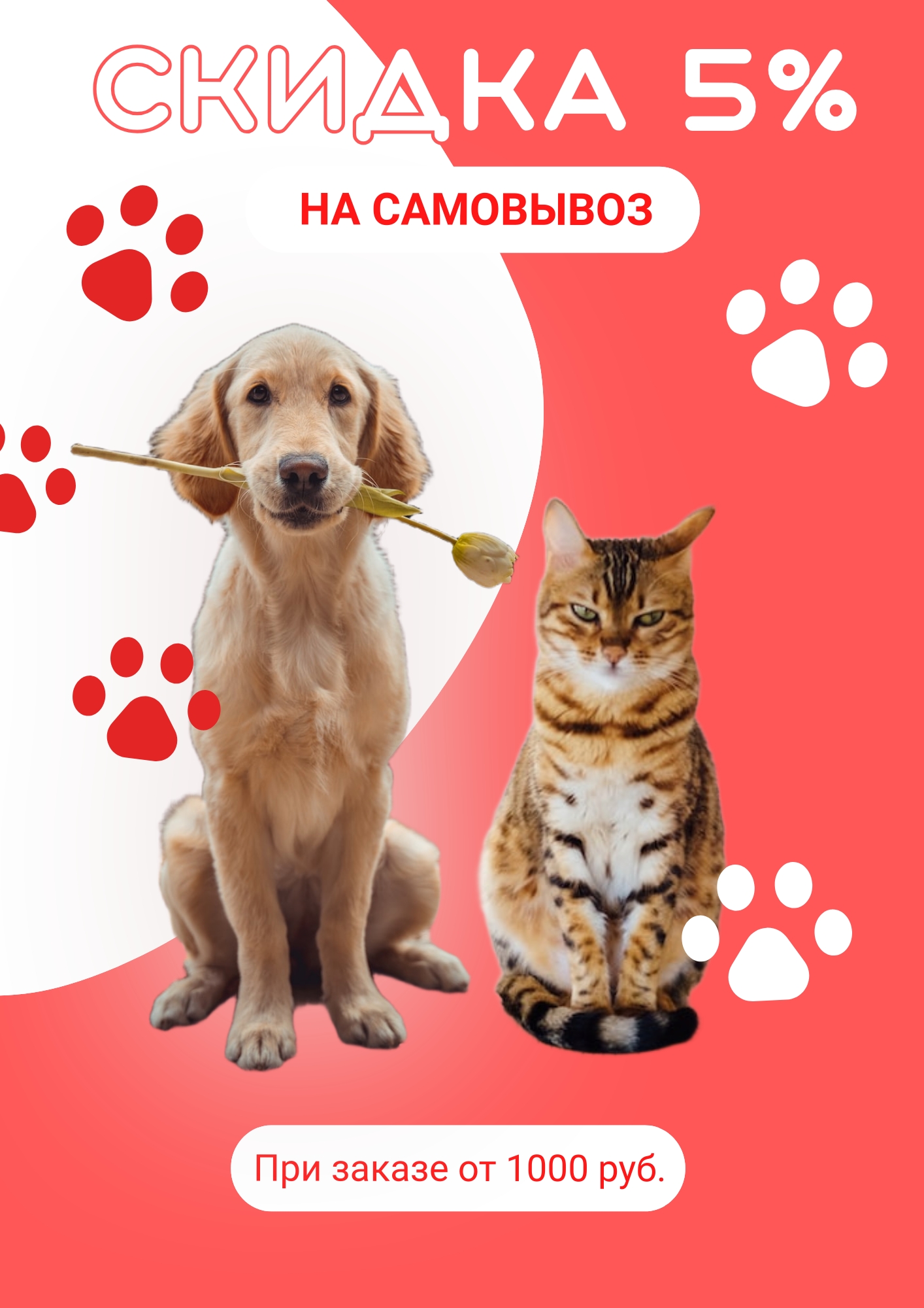 Скидка 5% при заказе от 1000 руб.