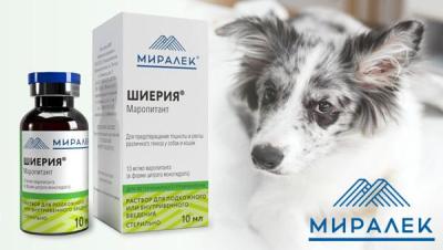 Miralek-Shieriya-newsZB