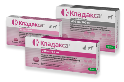 20220805140830810_img-kladaxxa-group