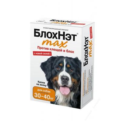 450_450_1 - 2021-02-03T164326.920