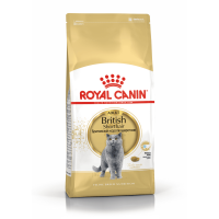 Royal Canin British Shorthair Adult Royal Canin British Shorthair Adult