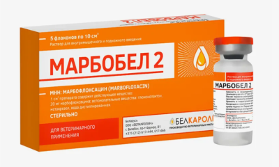 Снимок экрана 2025-03-27 141310