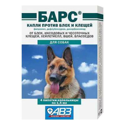 450_450_1 - 2021-02-03T182926.262