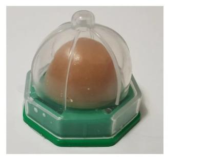 Безымянный