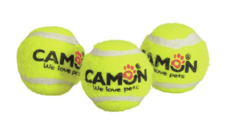 f04d96cf4f5fc84def2427fba7de95fc