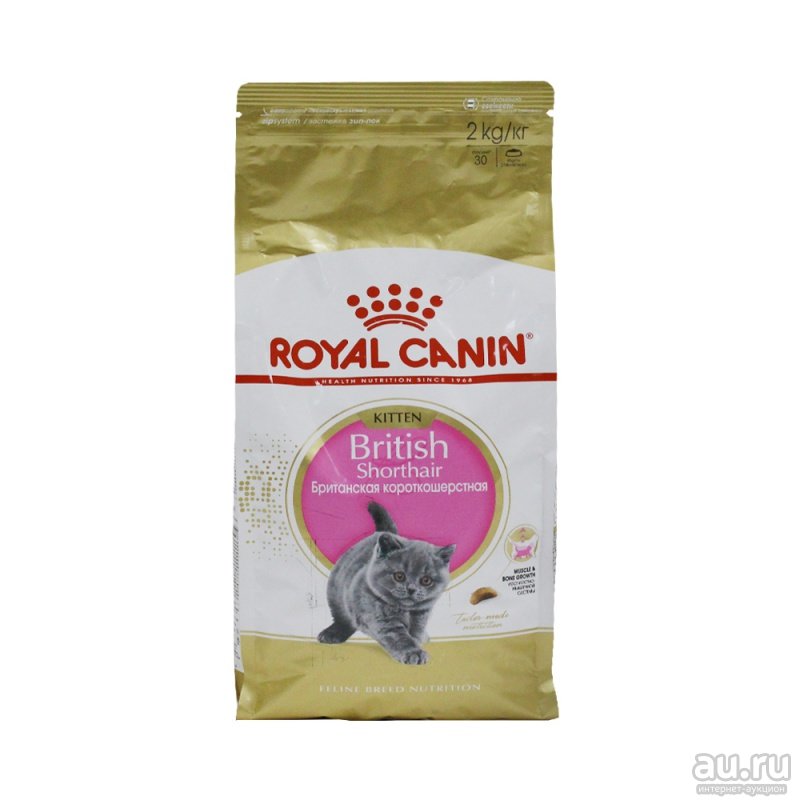 Royal Canin British Shorthair Kitten д/котят
