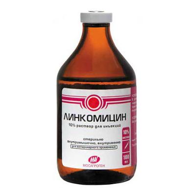 450_450_1 - 2021-02-08T111048.403