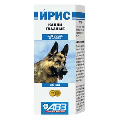 450_450_1 - 2021-02-12T214435.499