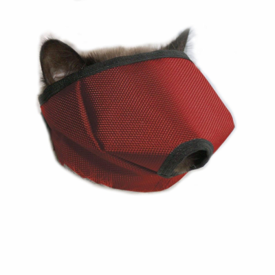 Безымянный