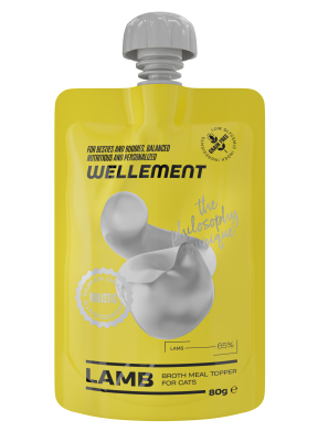 175075397_6976728504547