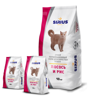 3122d0fda6e89094a87302ab2545ef56