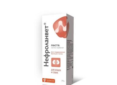 Безымянный