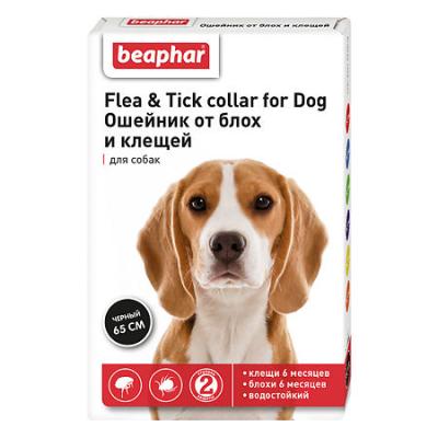 450_450_1 - 2021-02-04T150701.553