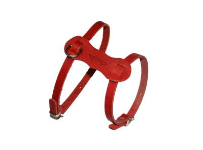 c3c1b56d-5eb3-11e6-940d-00155dc7680a_dcc71bec-e941-11e6-940e-00155dc7680a