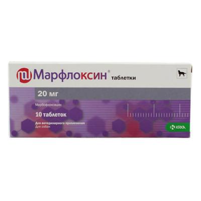 450_450_1 - 2021-02-08T105612.946