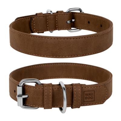 alpiiskie-luga-trava-dlya-gryzunov