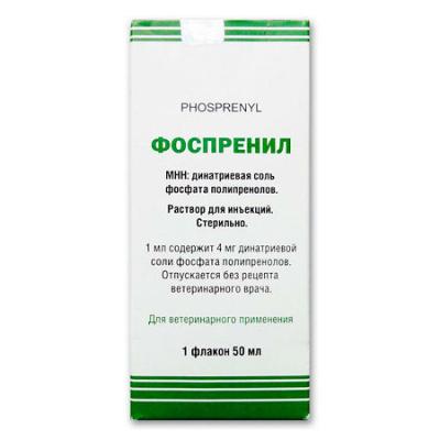 450_450_1 - 2021-02-10T152839.906