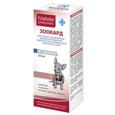 450_450_1 - 2021-02-02T120445.047