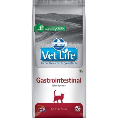 content-uploads-2015-06-vet-life-cat-gastrointestinal-370x600-800x800