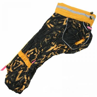 for-my-dogs-dozhdevik-dlya-velsh-441