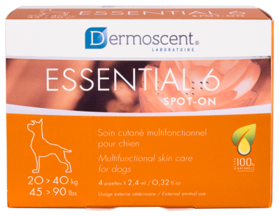 8995a380a070a7ec54674626557158b0-800x800