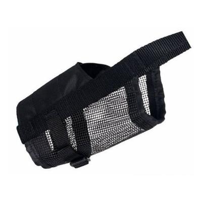 5e7nbc2xt4v3ds8fe7snbr7kn3e7ec4n