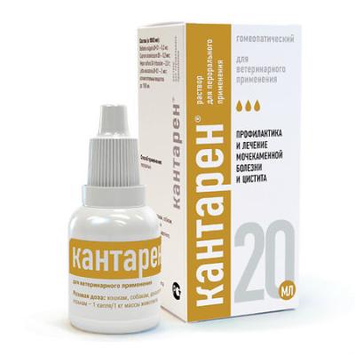 450_450_1 - 2021-02-10T143936.287