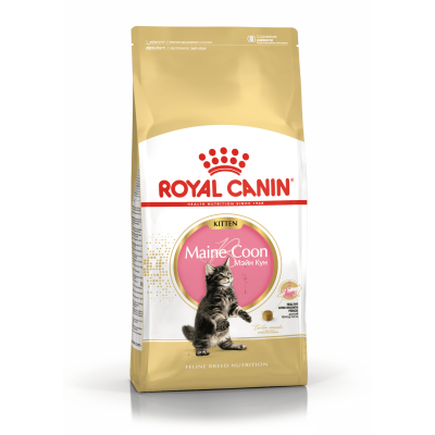 Royal Canin Maine Coon Kitten