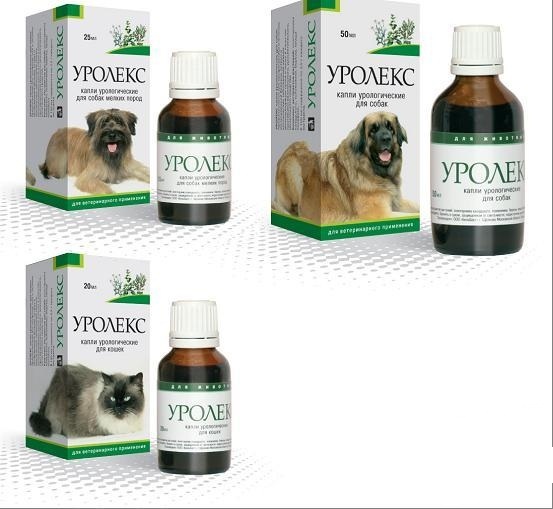 ec031dfef428c9ccf02d91c9c1b6051e