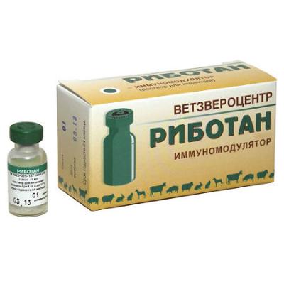 450_450_1 - 2021-02-10T181837.858