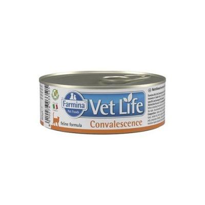farmina_vet_life_cat_convalescence_dlya_koshek_v_period_vosstanovleniya_vyzdorovleniya_85_g