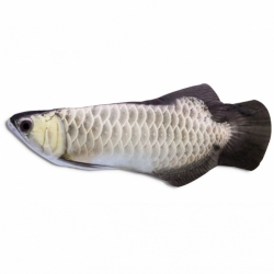 2e4c1c7bf352c87ab9ff6d152d3238a4_wi250_he250__files_import_0028538