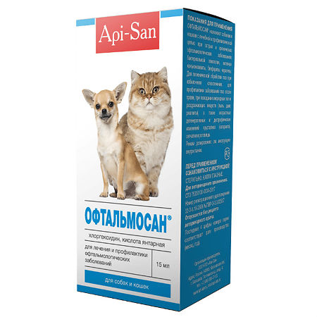 450_450_1 - 2021-02-12T214813.340