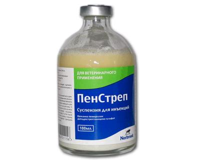 penstrep-instrukciya-po-primeneniyu-v-veterinarii-3