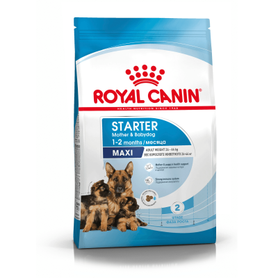 Royal Canin Maxi Starter Mother & Babydog