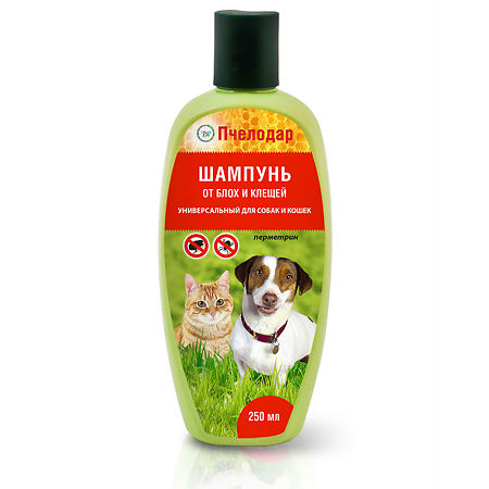 450_450_1 - 2021-02-04T161533.085