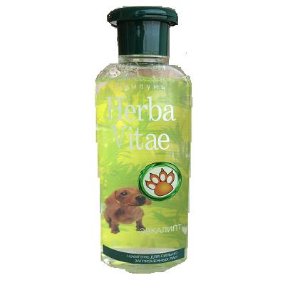 tp1u8p3nvjjd7ls6f54kemxo4yhlzhrn