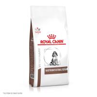 Gastrointestinal папи Gastrointestinal папи