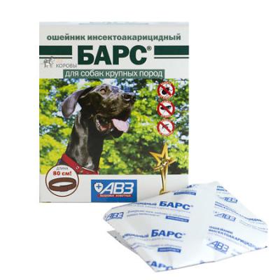 450_450_1 - 2021-02-04T150235.729