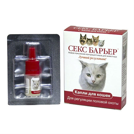 450_450_1 - 2021-02-10T173944.009