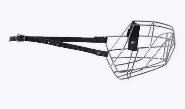 Снимок экрана 2025-05-08 153504