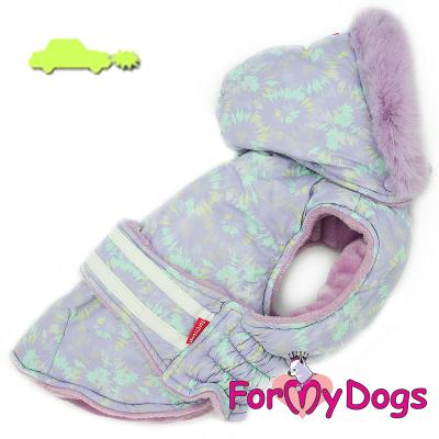 4e11019a-87eb-11eb-acfb-1c6f65560822_1