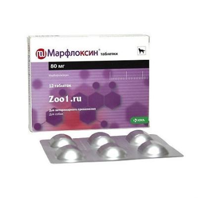 450_450_1 - 2021-02-08T101635.113