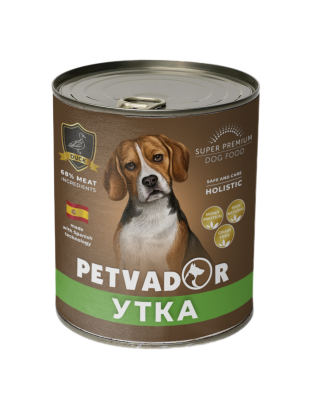 77bd9b268d266b4182ce11d6c4e6b8b3