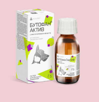 Снимок экрана 2025-06-17 113453