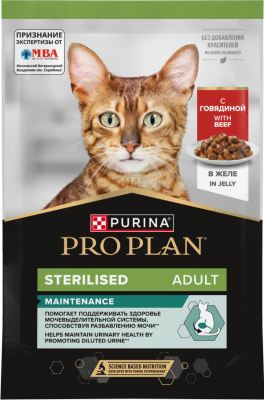 8445291203747_front_ru_1_1