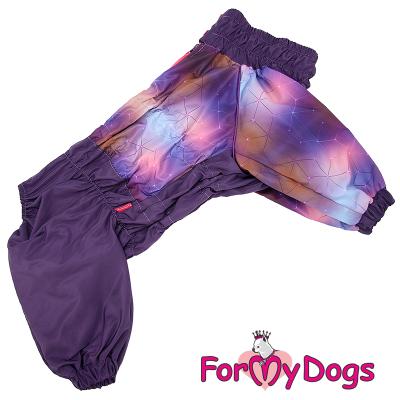 2cf0fda9-eae2-11eb-adf9-1c6f65560822_2